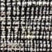 Bella Dots Charcoal (DTC)
