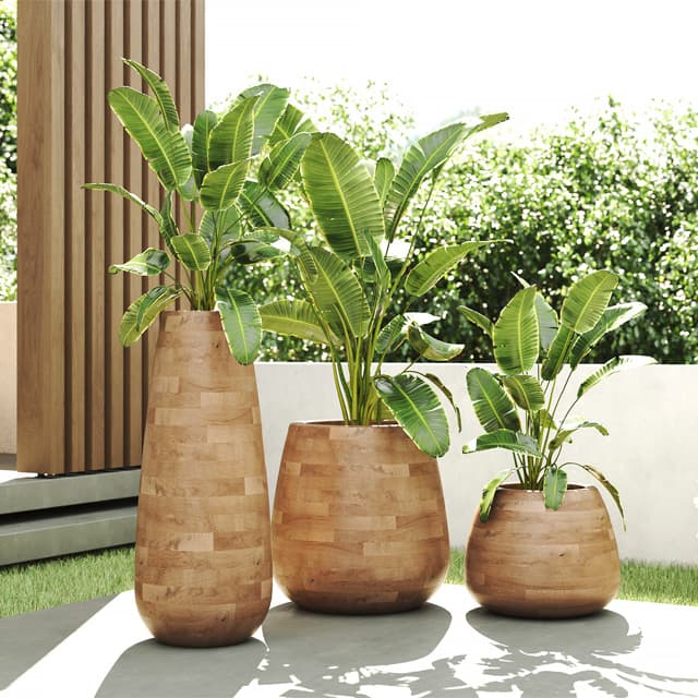 Outdoor Planters