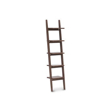 Endra Small Ladder Shelf