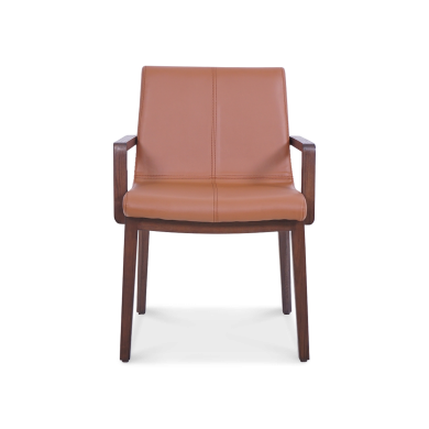 Carin Dining Chair - Leather